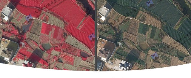 黑臭水體監(jiān)測2.jpg 黑臭水體監(jiān)測2.jpg